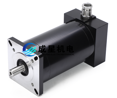 造纸防爆电机.png